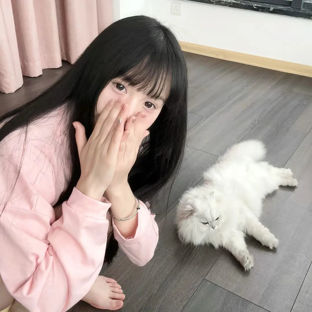 我是霸王龙